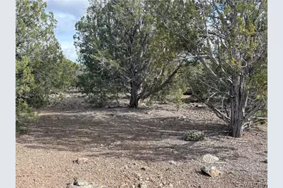 40 N Diamond M Ranch Road, Kingman, AZ 86401 - Photo 36