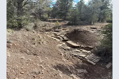 40 N Diamond M Ranch Road, Kingman, AZ 86401 - Photo 24