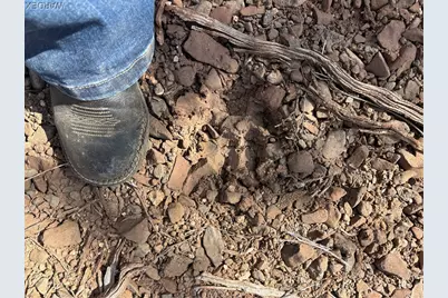 40 N Diamond M Ranch Road, Kingman, AZ 86401 - Photo 42