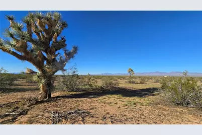 21688 S Roy Rogers Road, Yucca, AZ 86438 - Photo 16