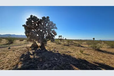 21688 S Roy Rogers Road, Yucca, AZ 86438 - Photo 22
