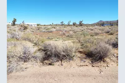 0000 N Peach Drive, Dolan Springs, AZ 86441 - Photo 4