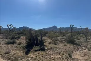 5789 17th St, Dolan Springs, AZ 86441 - Photo 2