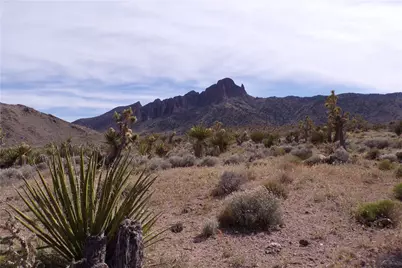 328-05-491 Palo Alto, Dolan Springs, AZ 86441 - Photo 2
