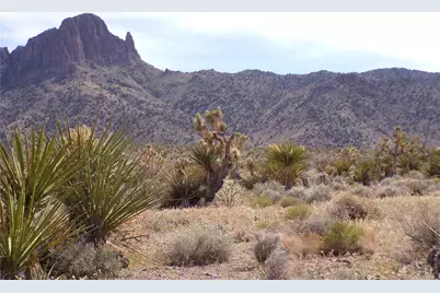 328-05-491 Palo Alto, Dolan Springs, AZ 86441 - Photo 6