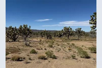 Lot 19 Squaw Drive, Dolan Springs, AZ 86441 - Photo 2