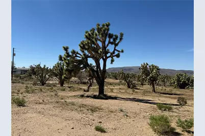 Lot 19 Squaw Drive, Dolan Springs, AZ 86441 - Photo 6