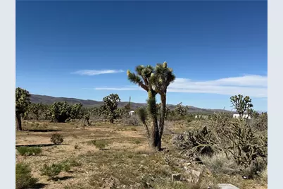 Lot 19 Squaw Drive, Dolan Springs, AZ 86441 - Photo 4