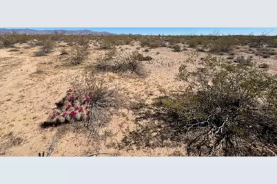 207-17-166A Cherry Road, Yucca, AZ 86438 - Photo 10