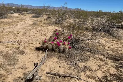 207-17-166A Cherry Road, Yucca, AZ 86438 - Photo 6