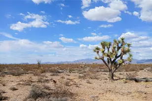 207-17-166A Cherry Rd, Yucca, AZ 86438 - Photo 1