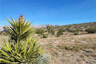 675 W Bright Angel Dr, Meadview, AZ 86444 - Photo 8