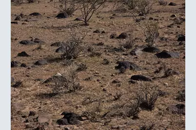 2904 W Walnut Creek Road #Unit 2 lot 5, Golden Valley, AZ 86413 - Photo 4