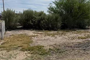 10574 S Tropics Rd, Mohave Valley, AZ 86440 - Photo 1