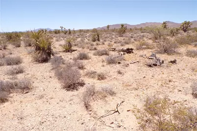337-05-010 W Spring Drive, Meadview, AZ 86444 - Photo 8