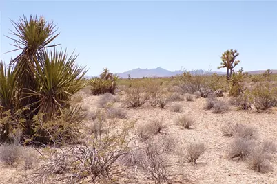 337-05-010 W Spring Drive, Meadview, AZ 86444 - Photo 12