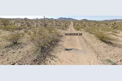 20594 N Wild Horse Drive, White Hills, AZ 86445 - Photo 6