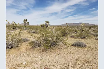 20594 N Wild Horse Drive, White Hills, AZ 86445 - Photo 2