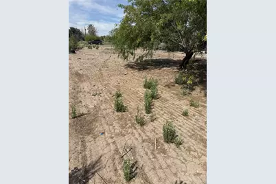 10580 S Tropics Road, Mohave Valley, AZ 86440 - Photo 6