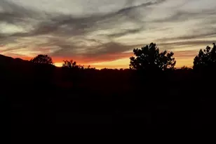 1575 S Roy Rd, Kingman, AZ 86401 - Photo 8