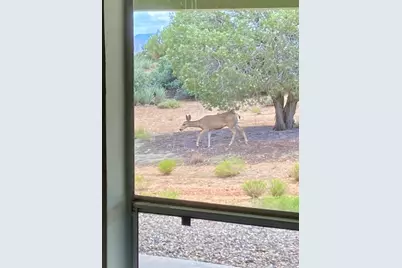 1575 S Roy Road, Kingman, AZ 86401 - Photo 30