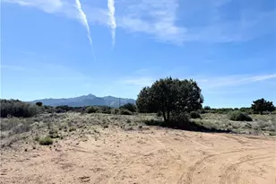 1575 S Roy Rd, Kingman, AZ 86401 - Photo 46