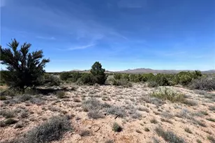 1575 S Roy Rd, Kingman, AZ 86401 - Photo 50