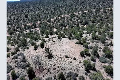 313-79-012C Mountain Springs Road, Hackberry, AZ 86411 - Photo 16