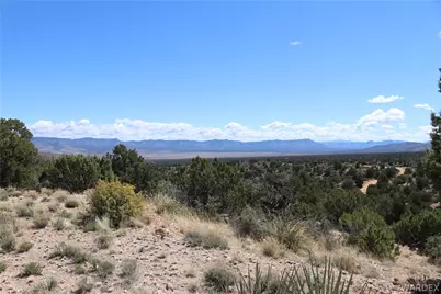 0000 Tbd Mountain Springs Road, Hackberry, AZ 86411 - Photo 20