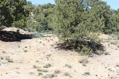 0000 Tbd Mountain Springs Road, Hackberry, AZ 86411 - Photo 34