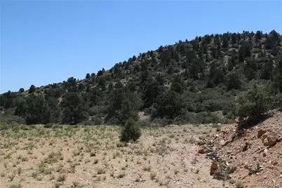 313-79-012C Mountain Springs Road, Hackberry, AZ 86411 - Photo 2