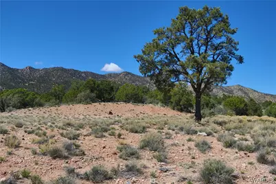 0000 Tbd Mountain Springs Road, Hackberry, AZ 86411 - Photo 30