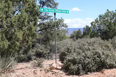 0000 Tbd Mountain Springs Road, Hackberry, AZ 86411 - Photo 32