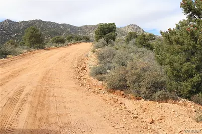 313-79-012C Mountain Springs Road, Hackberry, AZ 86411 - Photo 4