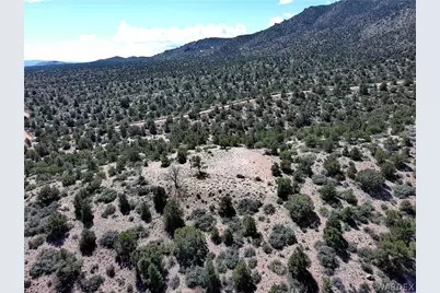 313-79-012C Mountain Springs Road, Hackberry, AZ 86411 - Photo 14