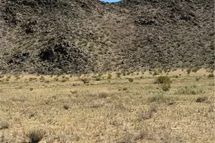 Parcel 10-C E Sweet Bush Rd, Kingman, AZ 86409 - Photo 1