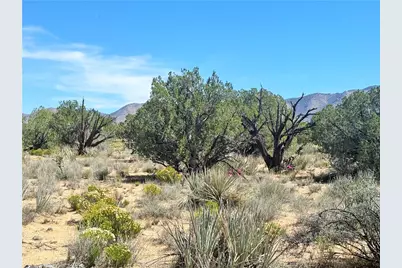 14224 E Randy Ranch, Kingman, AZ 86401 - Photo 62