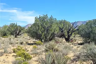 14224 E Randy Ranch, Kingman, AZ 86401 - Photo 62