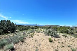 14224 E Randy Ranch, Kingman, AZ 86401 - Photo 66