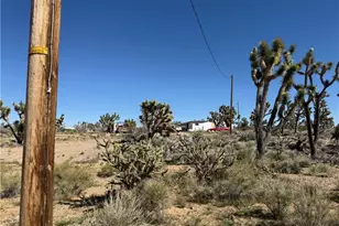 18516 N Squaw Dr, Dolan Springs, AZ 86441 - Photo 4