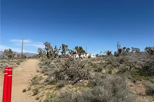 18516 N Squaw Dr, Dolan Springs, AZ 86441 - Photo 6