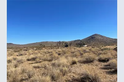 327-02-487 Telegraph, Dolan Springs, AZ 86441 - Photo 2