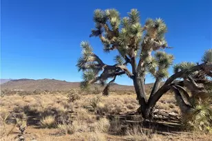 327-02-487 Telegraph, Dolan Springs, AZ 86441 - Photo 1