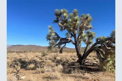 Lot 24 Telegraph, Dolan Springs, AZ 86441 - Photo 1