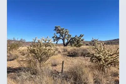 Lot 24 Telegraph, Dolan Springs, AZ 86441 - Photo 6