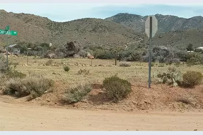 Lot 6 & 7 Schuylkill Avenue, Chloride, AZ 86431 - Photo 6
