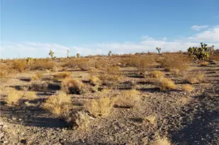 21157 W Calexico Dr, White Hills, AZ 86445 - Photo 1