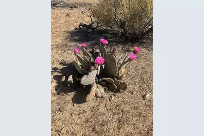 333 S S Whispering Winds Rd, Yucca, AZ 86438 - Photo 10