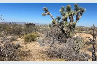 333 S S Whispering Winds Rd, Yucca, AZ 86438 - Photo 12