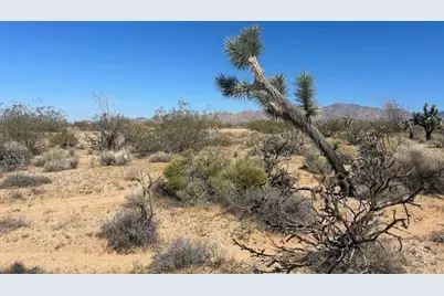 259 Apache, Yucca, AZ 86438 - Photo 12